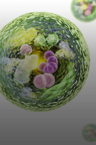 ProLon ile 5 Gün Sonunda Ne Olur ?